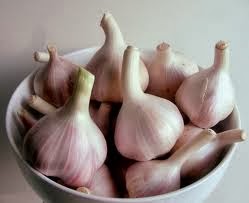 garlic juga