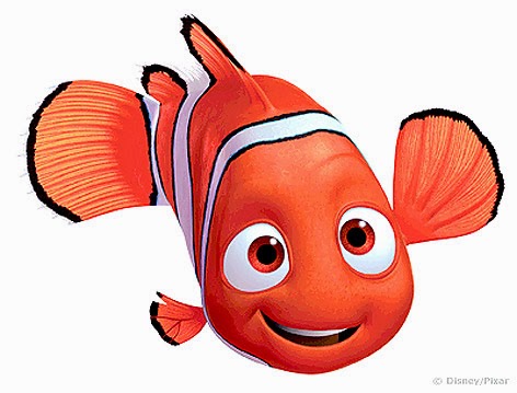 nemo_clownfish_1