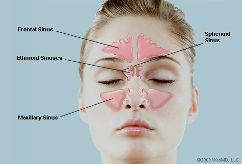 sinus-chart