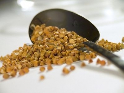 rutin buckwheat
