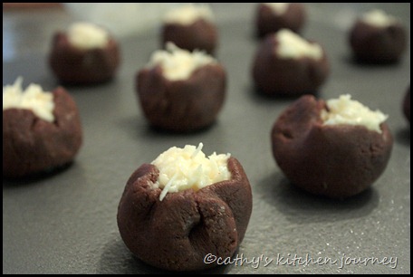 chocolate coconut cookies 1[2]