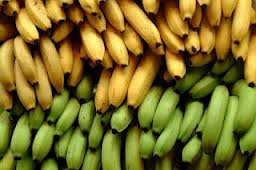 bananas green yellow