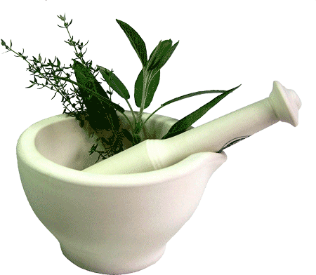 herbal-treatment-hsv-1