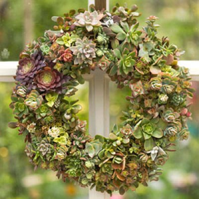 succulent+wreath+1
