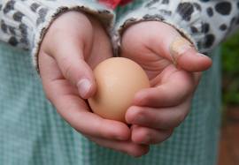 holding egg
