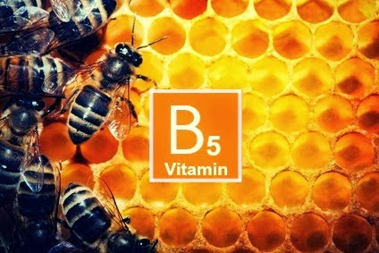 vitamin-B5-bees