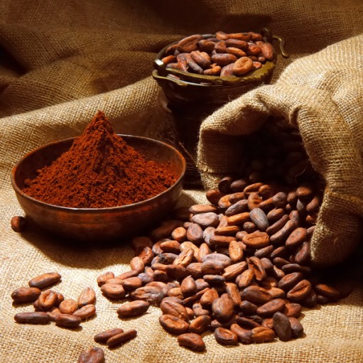 crop_sm_Cocoa-Beans