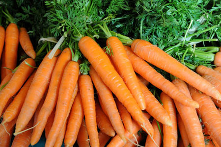 diet-with-carrots-pic