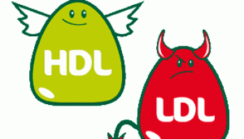 hdl-cholesterol-and-ldl-cholesterol