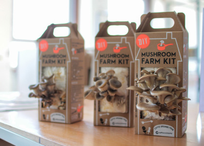 mushroom-kit