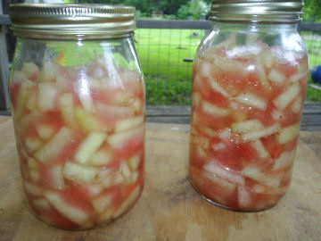watermelon-pickles