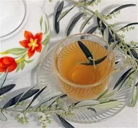 olive-leaf-tea