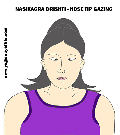 Nasikagra_Drishti_Nose_Tip_Gazing_Mudra_Yoga