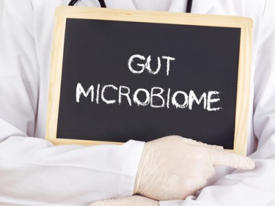 gut-microbiome-board