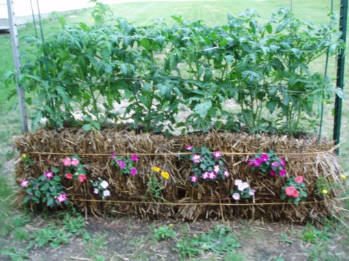 straw-bale-garden
