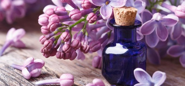 lilac-oil