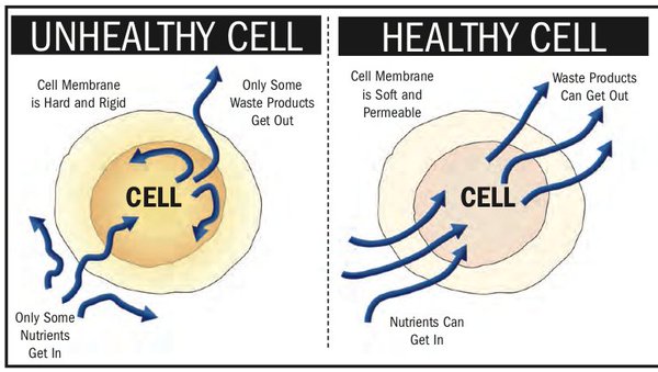 healthy-unhealthy-cells