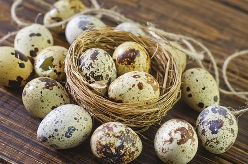 quail-eggs-therapy