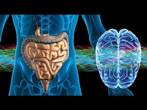 gut-brain-connection