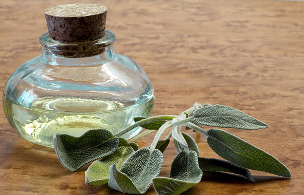 sage-tincture-cure-all
