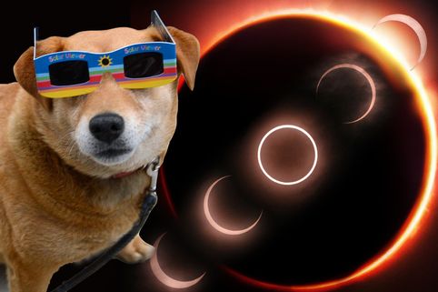 eclipse-main