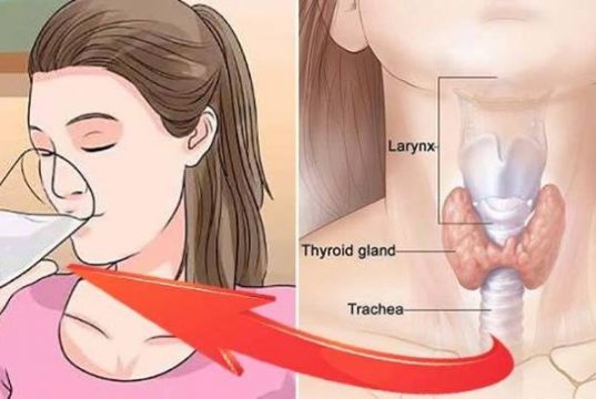 soy-milk-thyroid