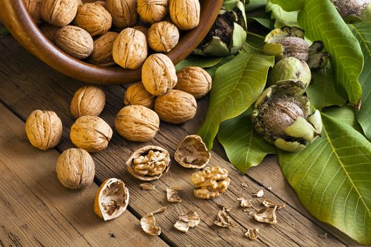 wallnuts-gut-health