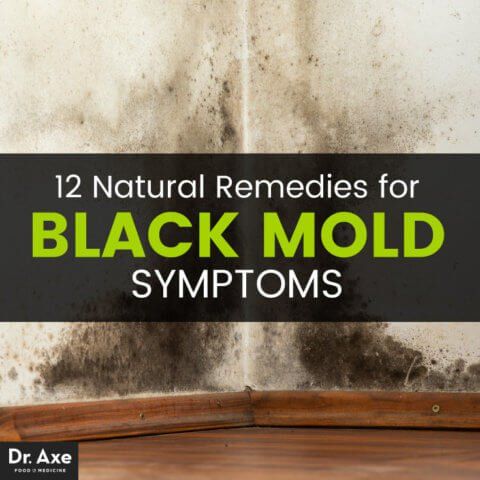 mold-remedies