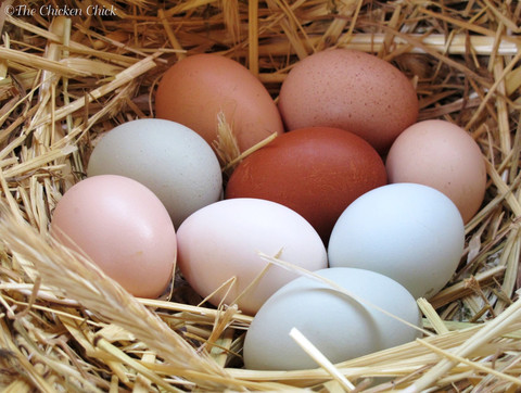 Яйца за здраве