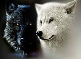 Притча за двата вълка