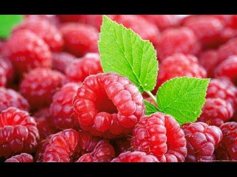 raspberries-bp