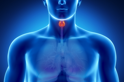 Предпазвайте щитовидната си жлеза от тези токсини