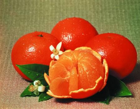 Съединения в мандарините предпазват от дълъг списък хронични заболявания