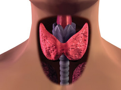 thyroid-vit-c