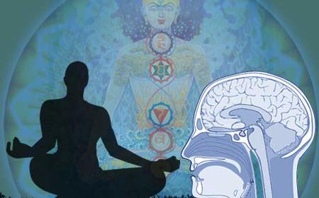 Медитацията буквално възражда мозъка