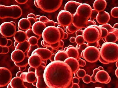 7 вида естествени разредители на кръвта подобряват кръвообръщението и снижават възпалението