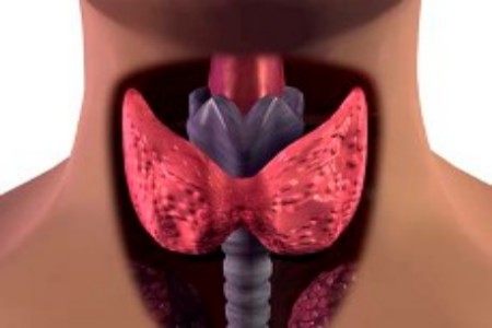 thyroid-ways-to-keep-healthy